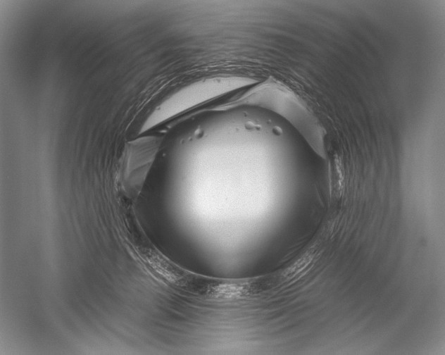 X0000051270176200507082252