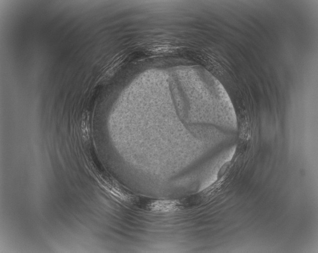 X0000051270179200507082252