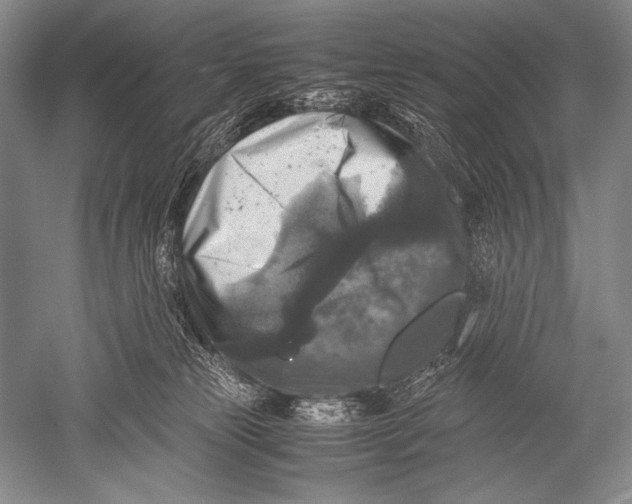 X0000051270181200507082252
