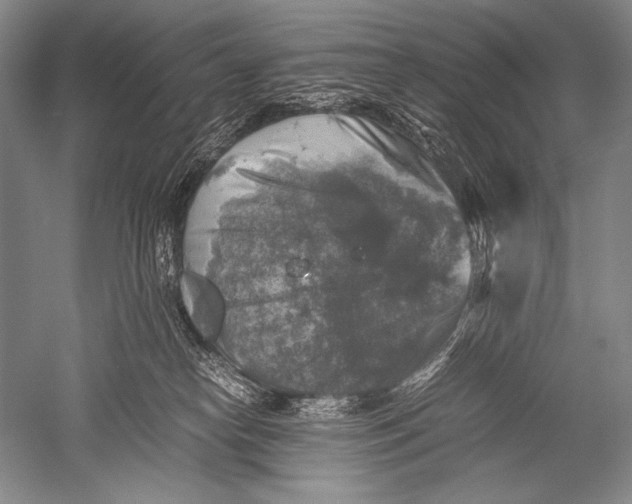 X0000051270182200507082252