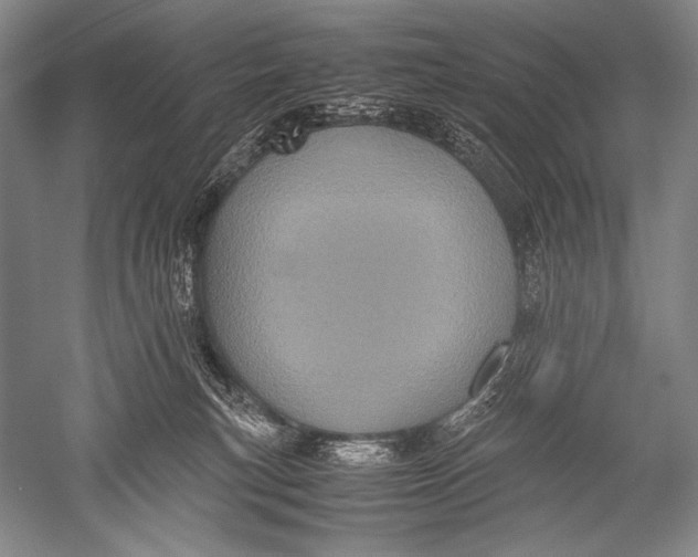 X0000051270183200507082252
