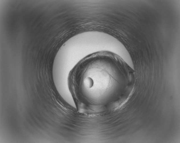 X0000051270186200507082252