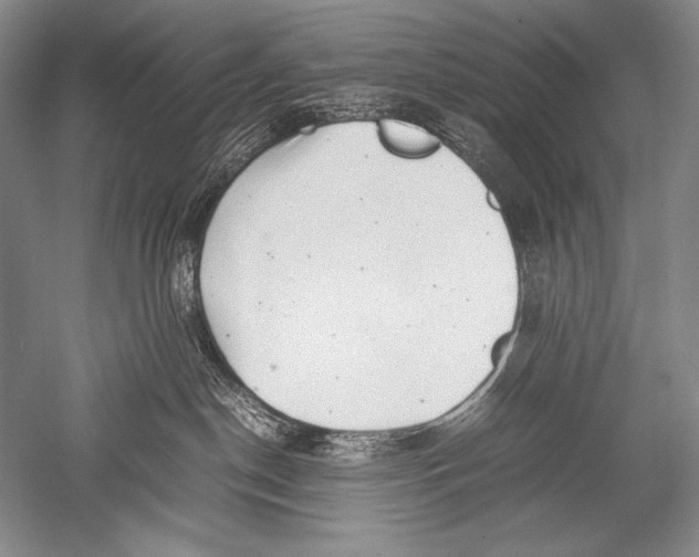 X0000051270190200507082253