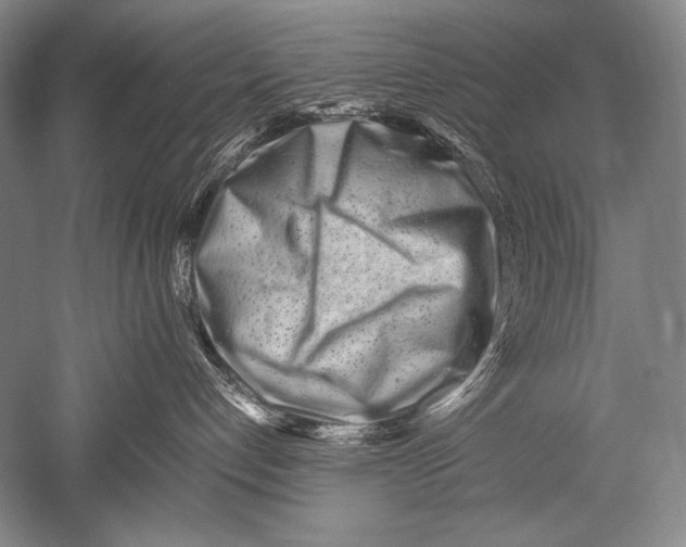 X0000051270192200507082253