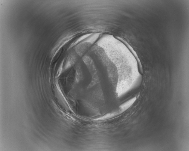 X0000051270194200507082252