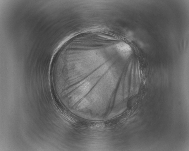 X0000051270196200507082252