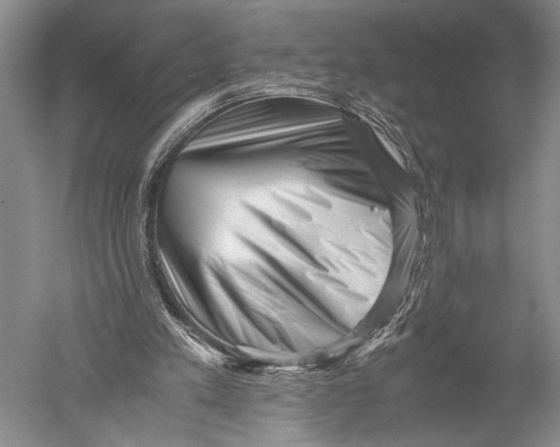 X0000051270197200507082252