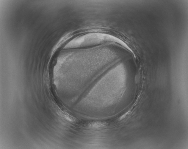 X0000051270198200507082252