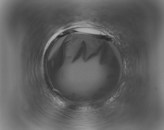 X0000051270200200507082252