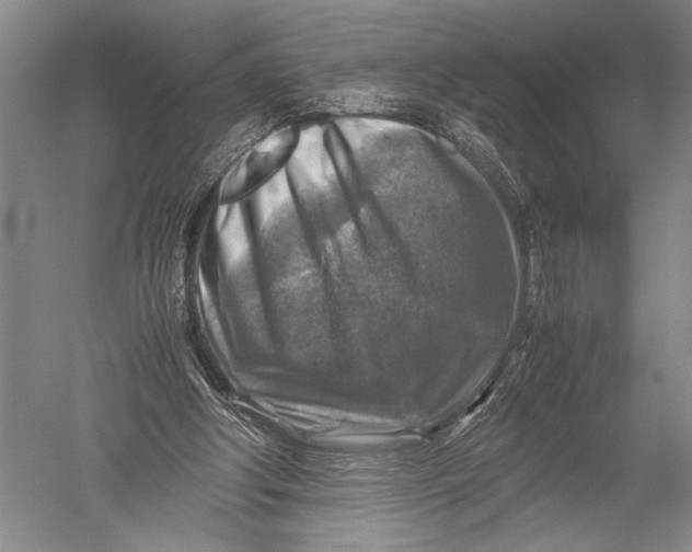 X0000051270202200507082252