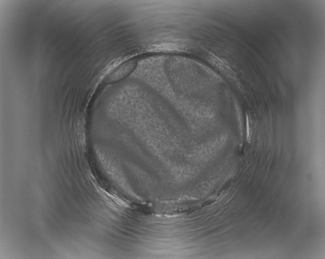X0000051270204200507082252