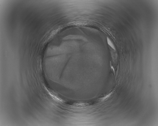 X0000051270205200507082252