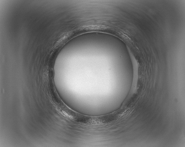 X0000051270207200507082252