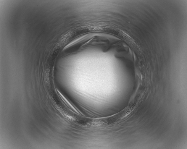 X0000051270209200507082251