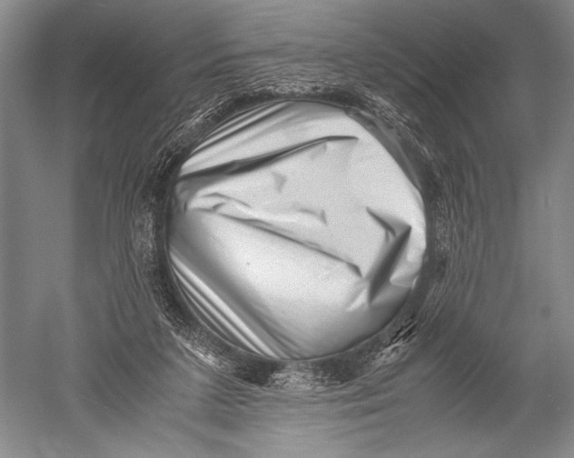 X0000051270211200507082251