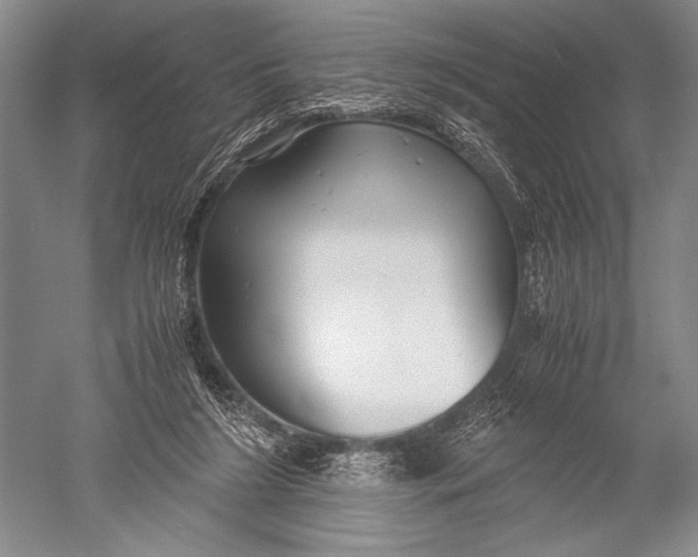 X0000051270212200507082251