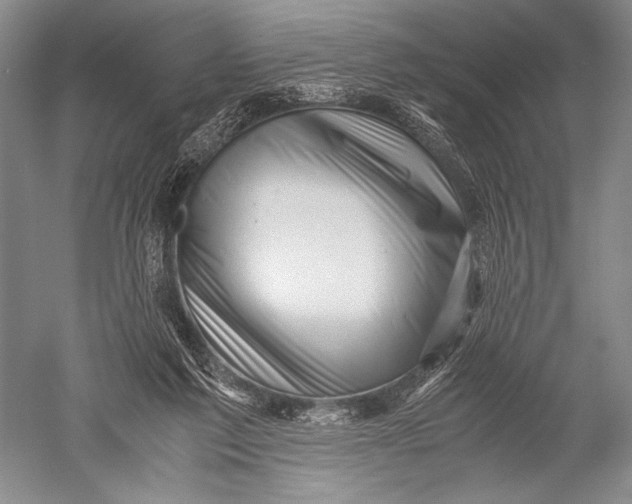 X0000051270213200507082251