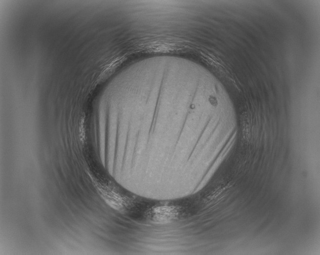 X0000051270216200507082251
