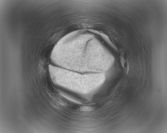 X0000051270218200507082251