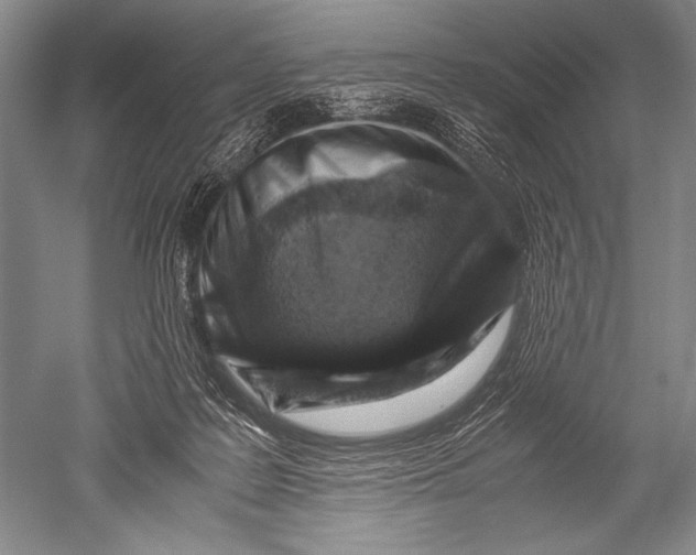 X0000051270219200507082251