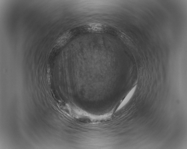 X0000051270223200507082251