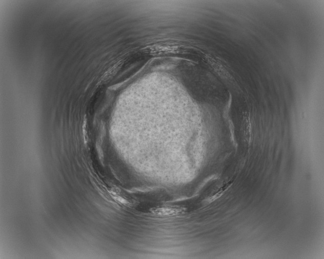 X0000051270224200507082251