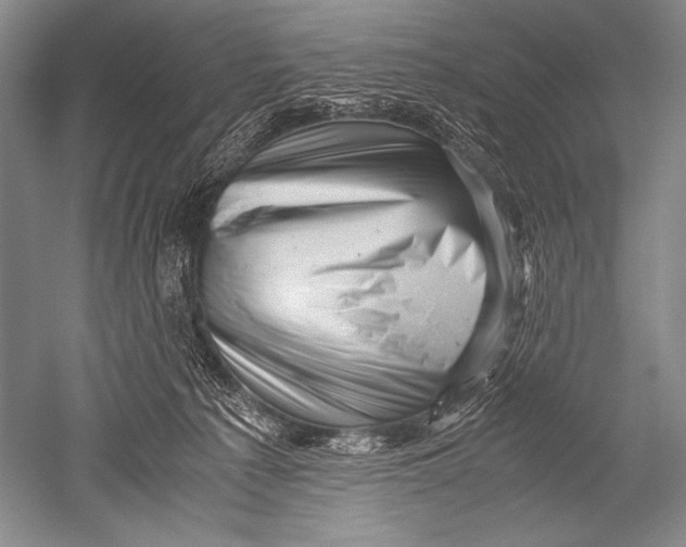 X0000051270225200507082251