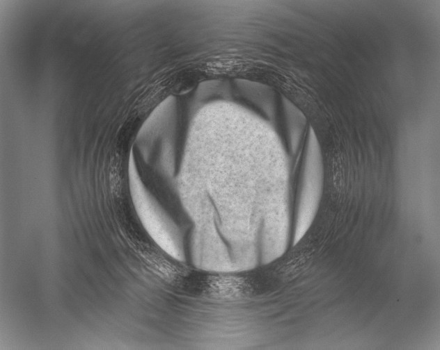 X0000051270226200507082251