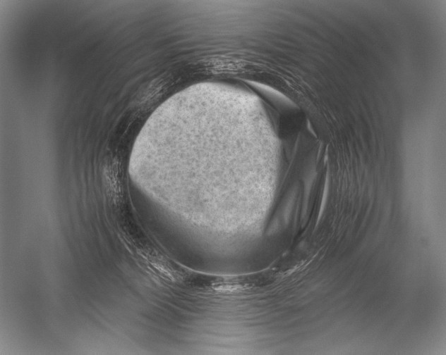 X0000051270228200507082251