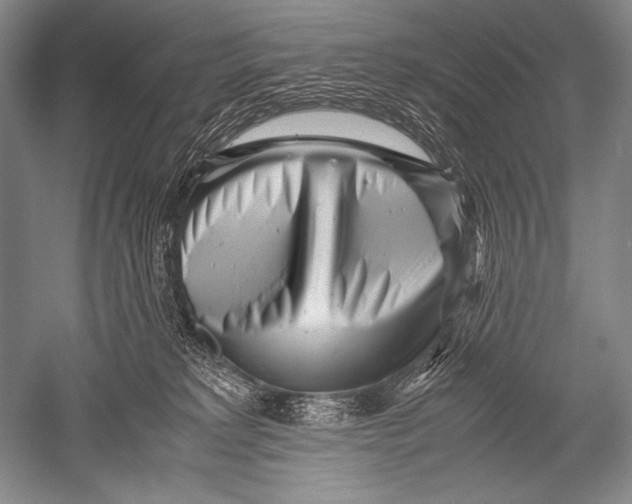X0000051270229200507082251