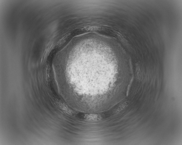 X0000051270230200507082251