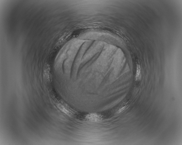 X0000051270231200507082251