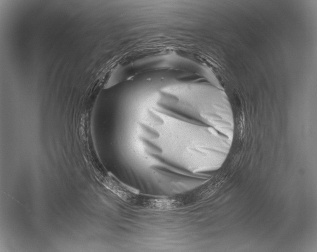 X0000051270233200507082251