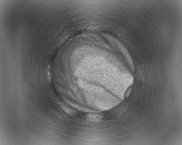 X0000051270234200507082251