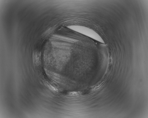 X0000051270239200507082251
