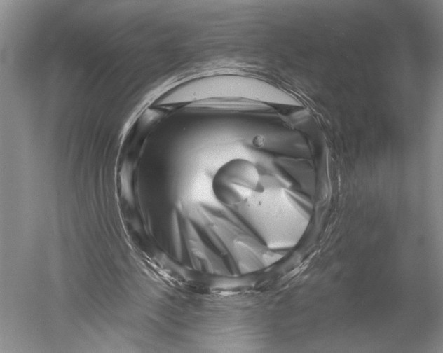 X0000051270244200507082250