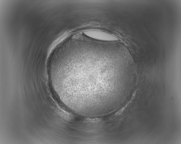 X0000051270245200507082250
