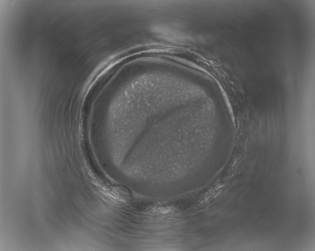 X0000051270247200507082250