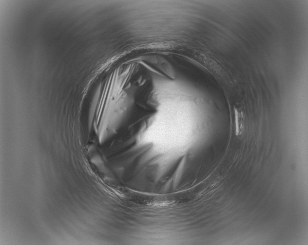 X0000051270252200507082250