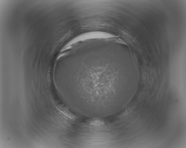 X0000051270258200507082250