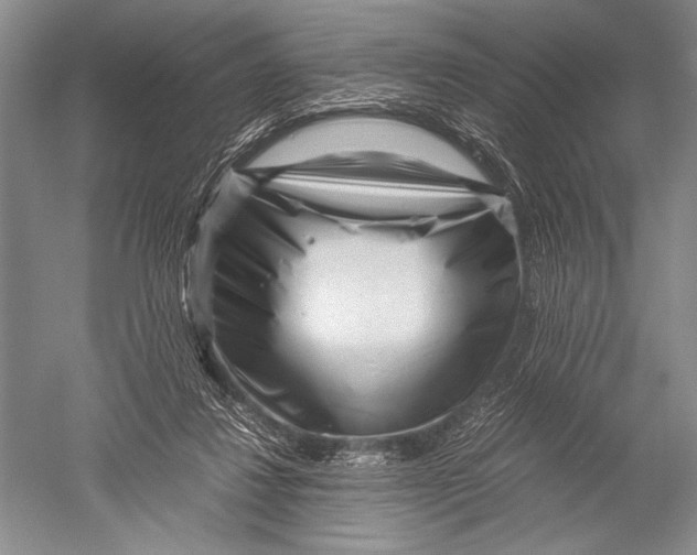X0000051270260200507082250