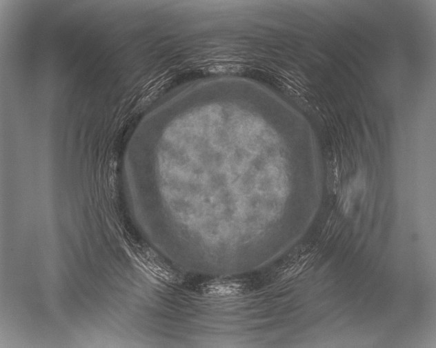 X0000051270263200507082251
