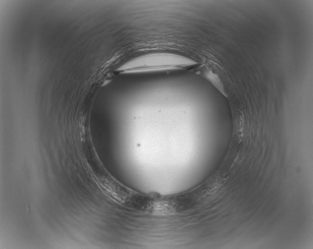 X0000051270264200507082251