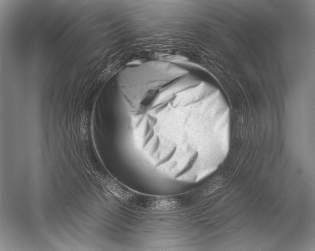 X0000051270274200507082251
