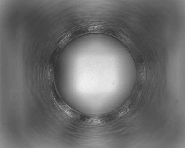 X0000051270276200507082251