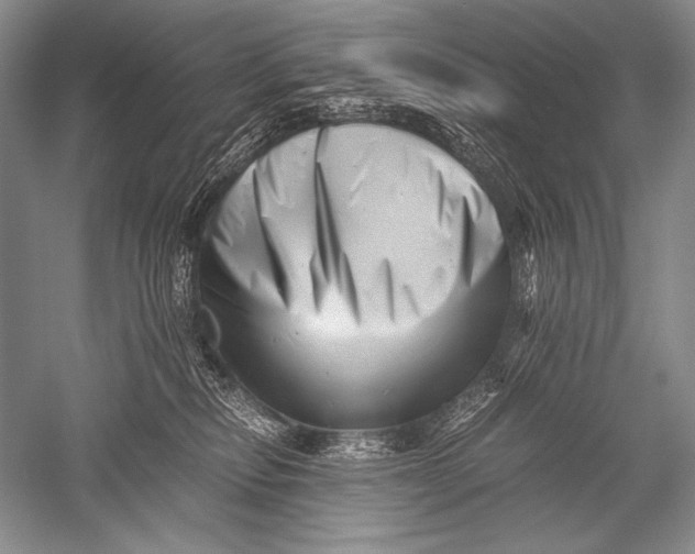 X0000051270278200507082251