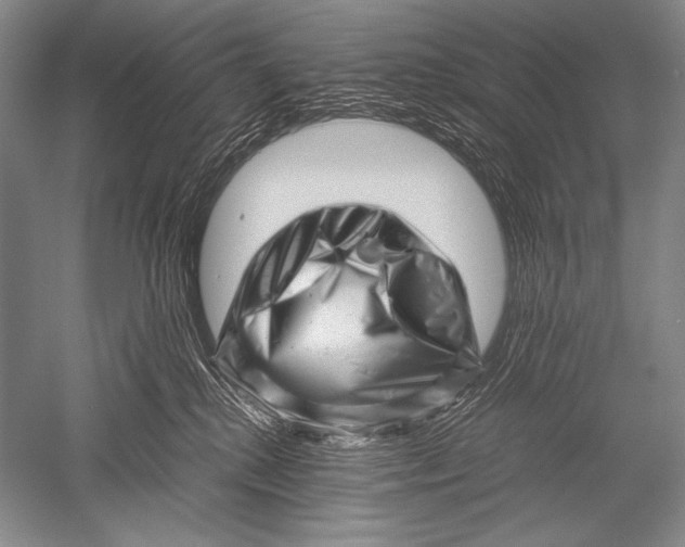 X0000051270280200507082251