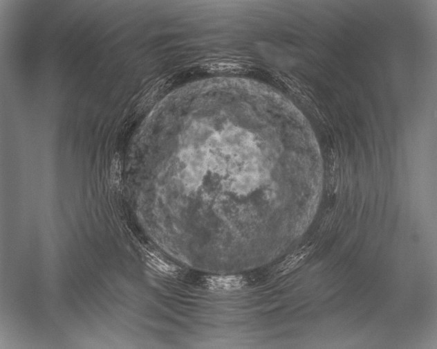 X0000051270281200507082251