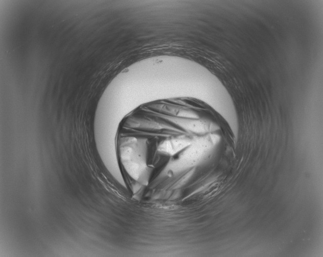X0000051270284200507082251