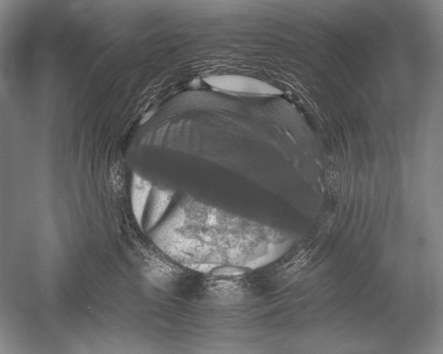 X0000051270285200507082251